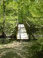 Pont dans la forêt de Chaux